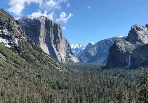 SOL OHANA Community image 2