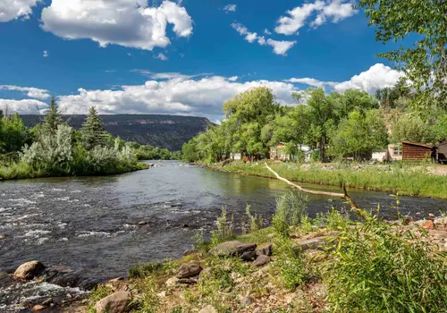 Island Cove Park image 2