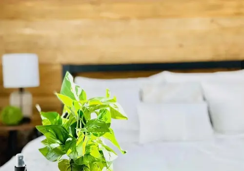 Ark's Beautiful Delta model image 3