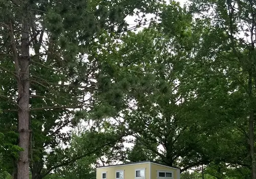 Cedar Springs Tiny Village image 5