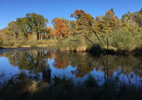 Sanctuary Minnesota Village image 3