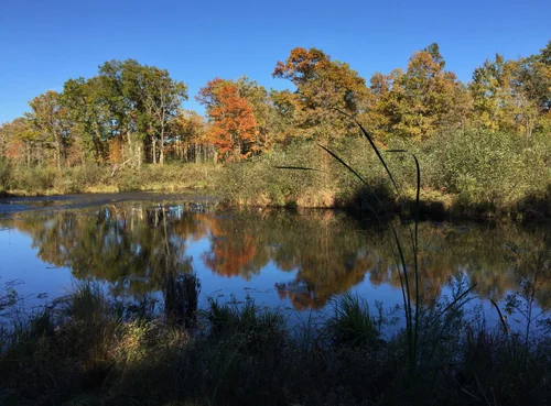 Sanctuary Minnesota Village image 3