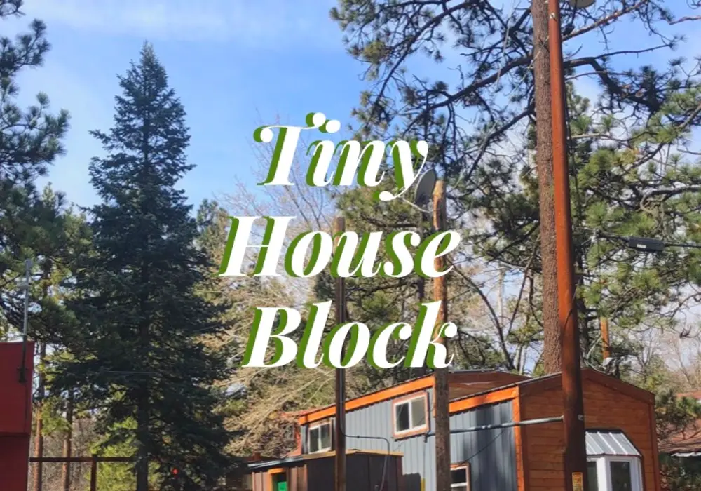 Tiny House Block image 1