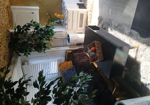 280sq Live in it ,Rent it or Travel in style... 1990s Fully furnished. With essentials image 2