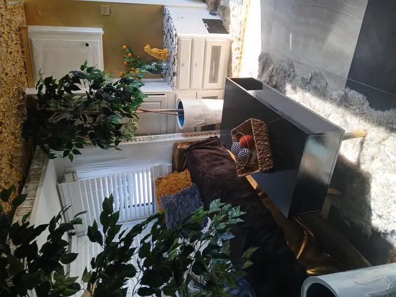 280sq Live in it ,Rent it or Travel in style... 1990s Fully furnished. With essentials photo 2