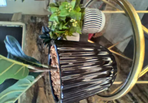 280sq Live in it ,Rent it or Travel in style... 1990s Fully furnished. With essentials image 3