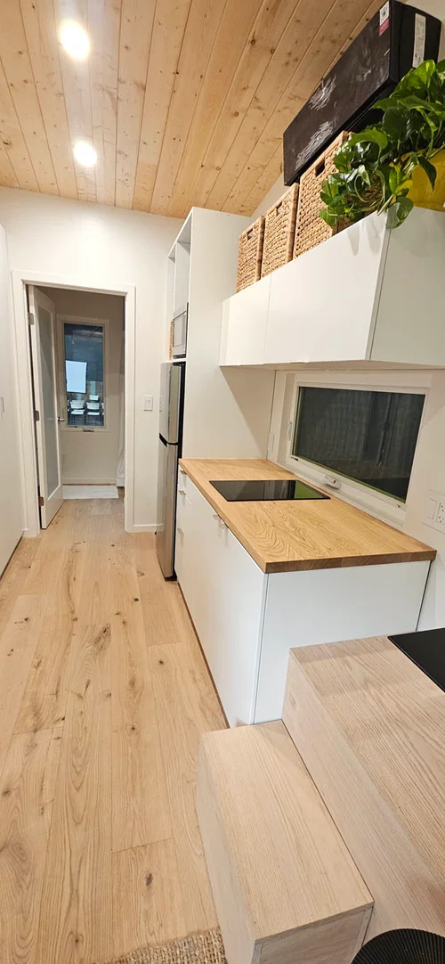 The Brand New 24' Live ONE with Many Extras image 5
