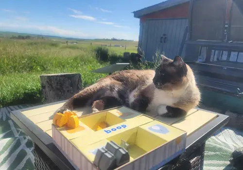 Private Main Floor Bedroom - C.S.A.-Certified - Luxury Living in Little Liberty image 5