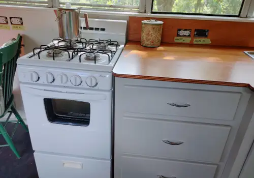 FOR SALE: Blue Bird Thomas 3800 65 Passenger Skoolie image 3