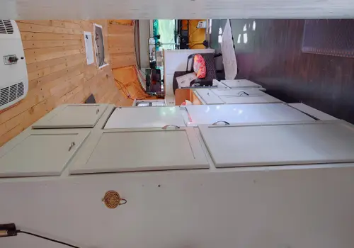 FOR SALE: Blue Bird Thomas 3800 65 Passenger Skoolie image 5