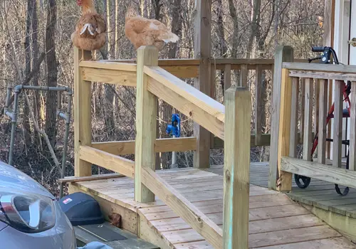 Price Drop! Beautiful Tiny Home in Tennessee! image 2