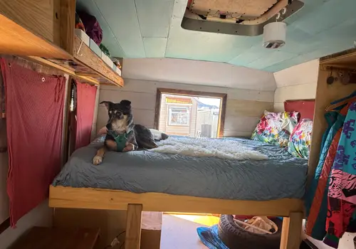 Meet “Bird by Bird” – A Skoolie with Soul image 3