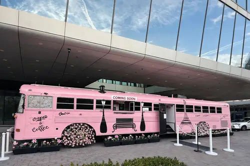 Pretty in Pink Skoolie For Sale Turnkey & Delivered! - Converted Bus 300 sqft in New York, New York