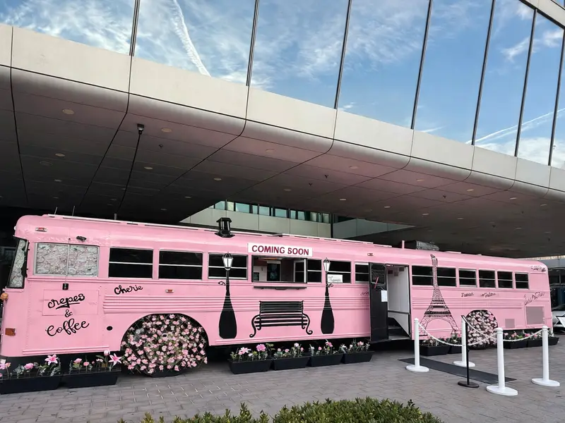 Pretty in Pink Skoolie For Sale Turnkey & Delivered! — Converted Bus — 984 sqft for sale in New York, New York