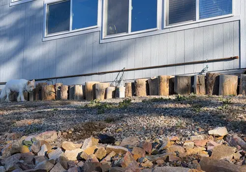 Bright & Smartly Designed Tiny Home Shed Conversion in Durango For Sale image 3