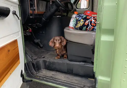 "Greenie" Off-Grid Ready Ford Econoline Skoolie For Sale! detail photo 4