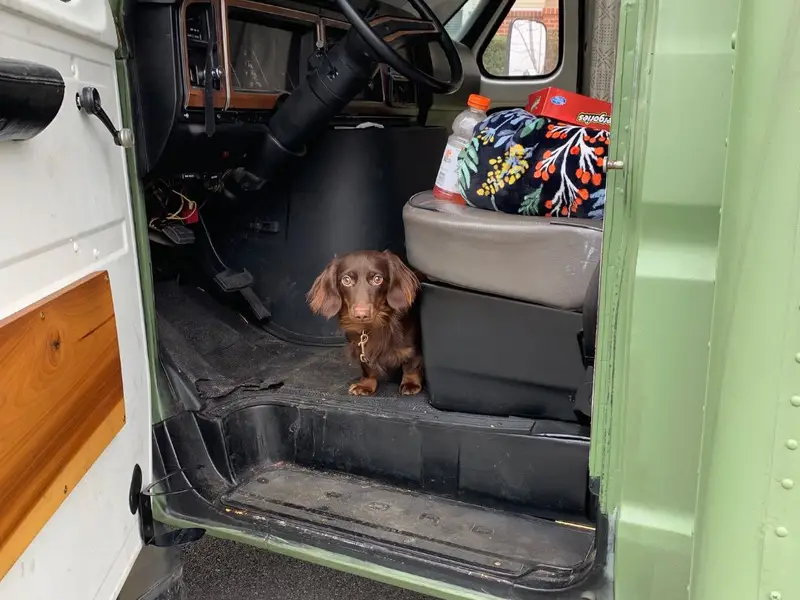 "Greenie" Off-Grid Ready Ford Econoline Skoolie For Sale! photo 4