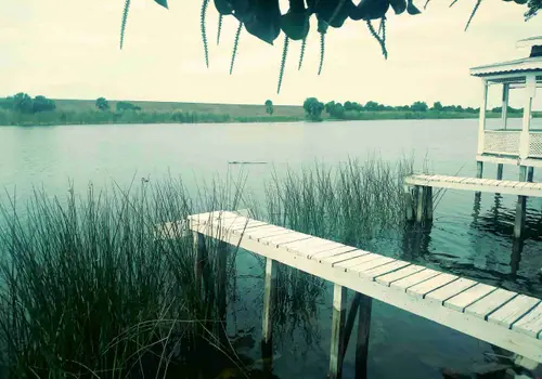 Gracious Tiny House Park image 4