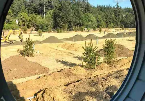 Tiny Tranquility image 3