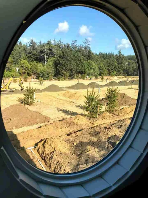 Tiny Tranquility image 3