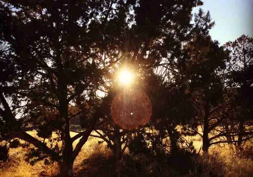 Animas Valley Village image 2