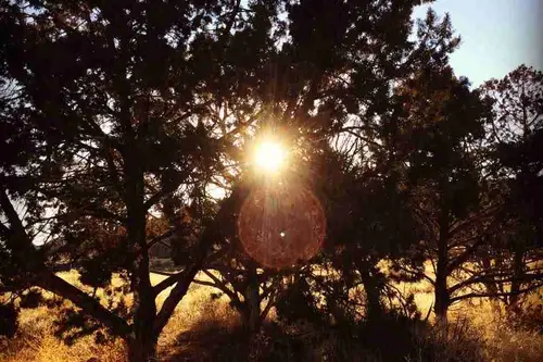Animas Valley Village - Tiny home community in Aztec, New Mexico
