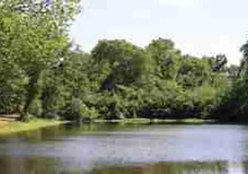 Vintage Grace image 3