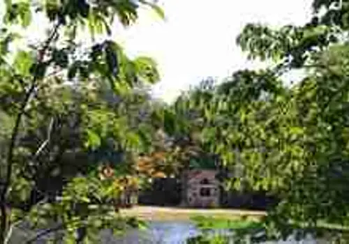 Vintage Grace image 2