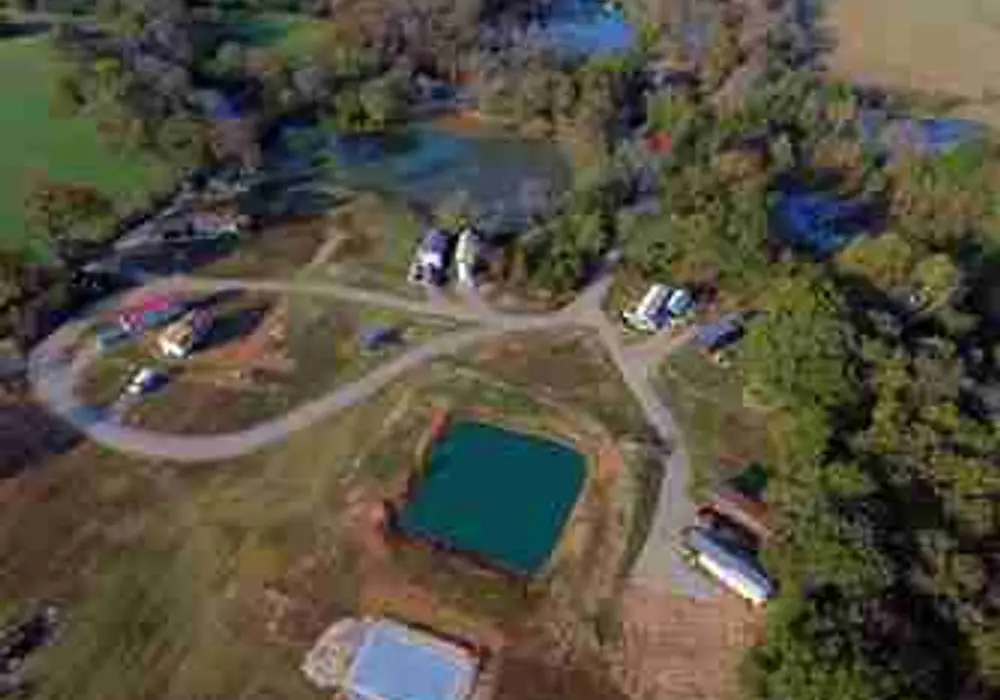 Vintage Grace image 1