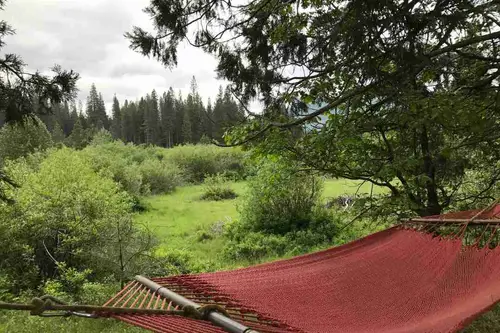 Wild Plumas - Tiny home community in Greenville, California