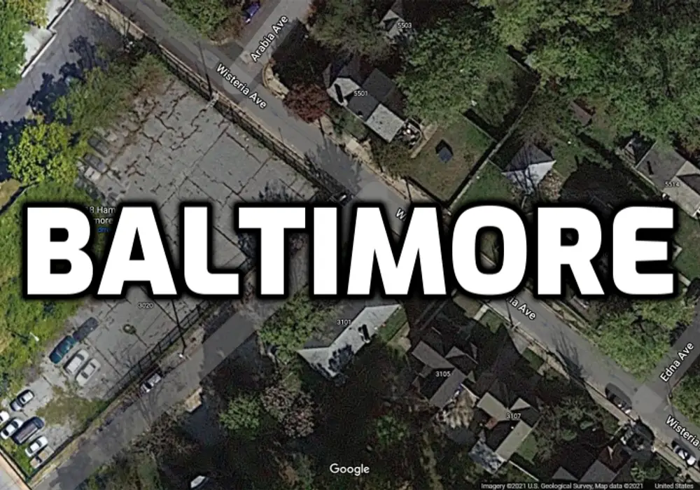 Wisteria Village (working title) image 1