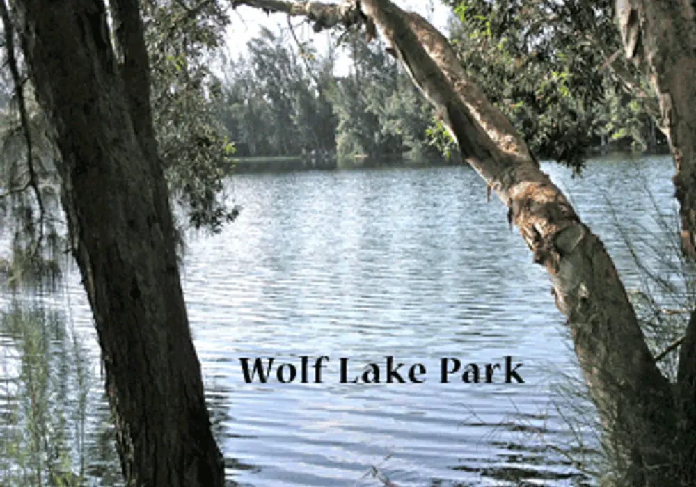 Wolf Lake Village image 1