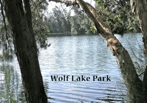 Wolf Lake Village image 2