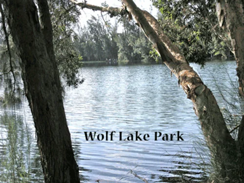 Wolf Lake Village image 2