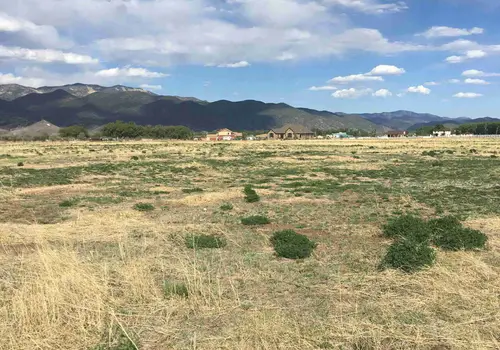 Agastache Village image 2