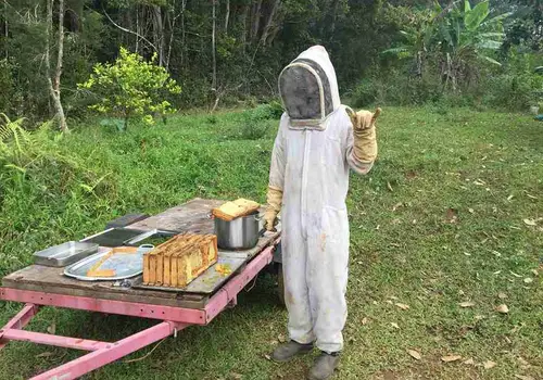 Awalau Farm aka Avalon image 3