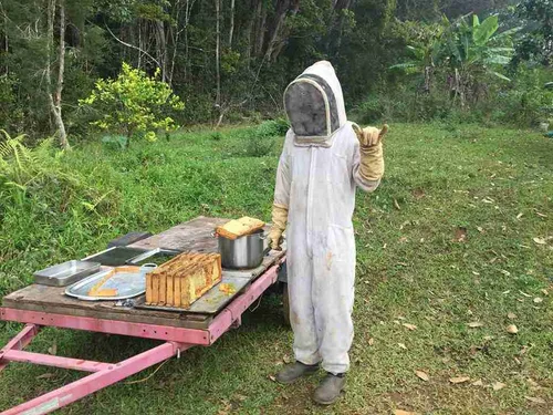 Awalau Farm aka Avalon image 3