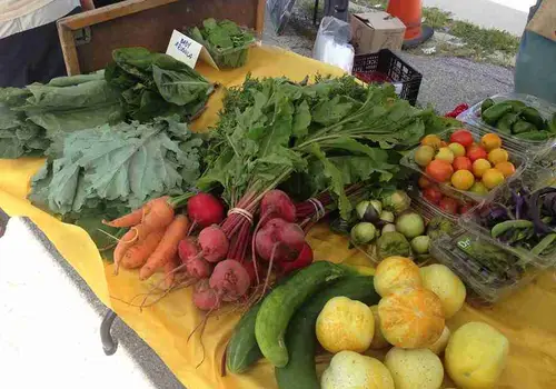 Baltimore Free Farm image 3