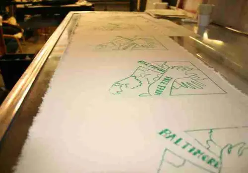 Baltimore Free Farm image 2