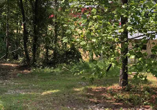 Tiny House Village at Fall Creek Falls image 2