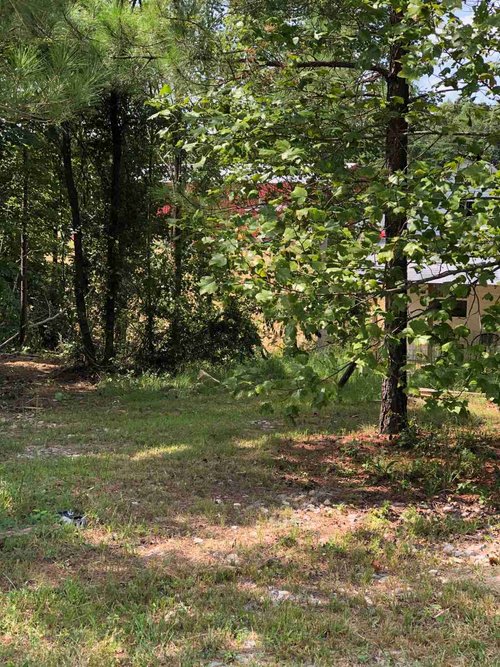 Tiny House Village at Fall Creek Falls image 2