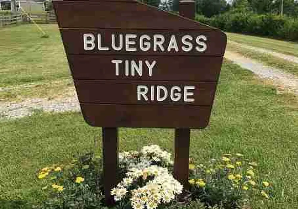 Bluegrass Tiny Ridge image 1