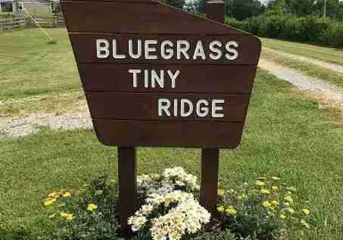 Bluegrass Tiny Ridge image 4