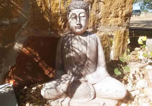 Seed of Life - Texas Hill Country image 3