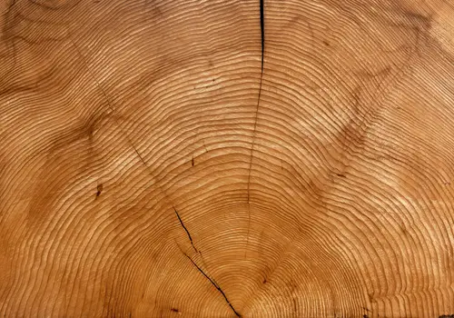 Tieton Cabin Company image 4