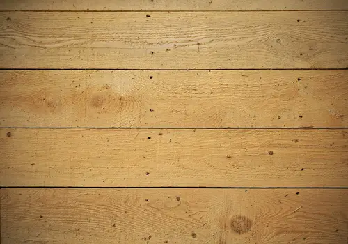 Jamaica Cottage Shop — build photo 5