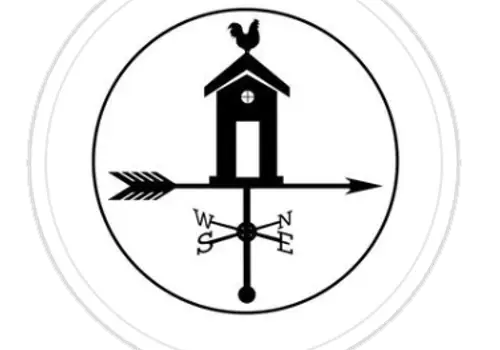 Perch & Nest image 3