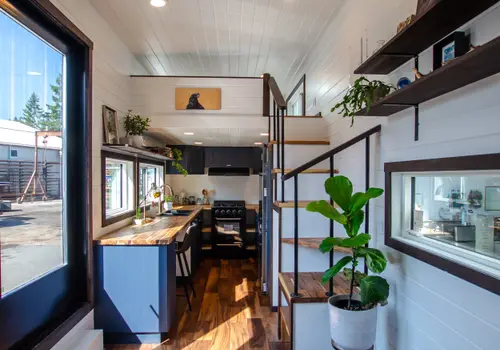 Rewild Homes — build photo 4