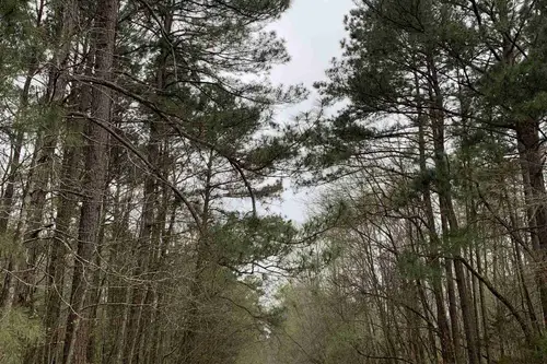 McNeil RV Park - Tiny home community in McNeil, Arkansas