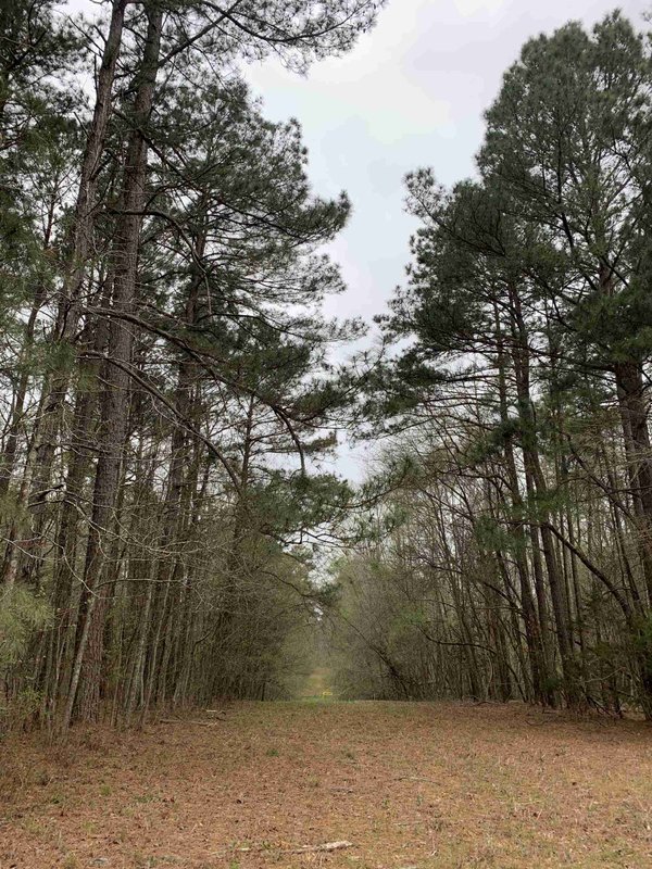 McNeil RV Park